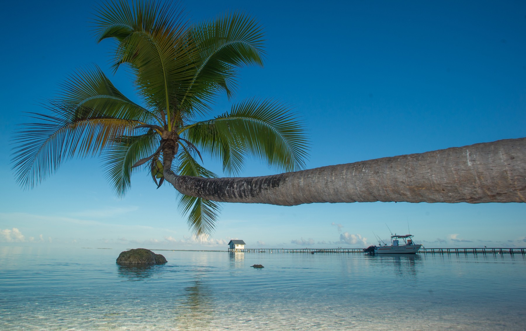 Pension Cocoperle Lodge